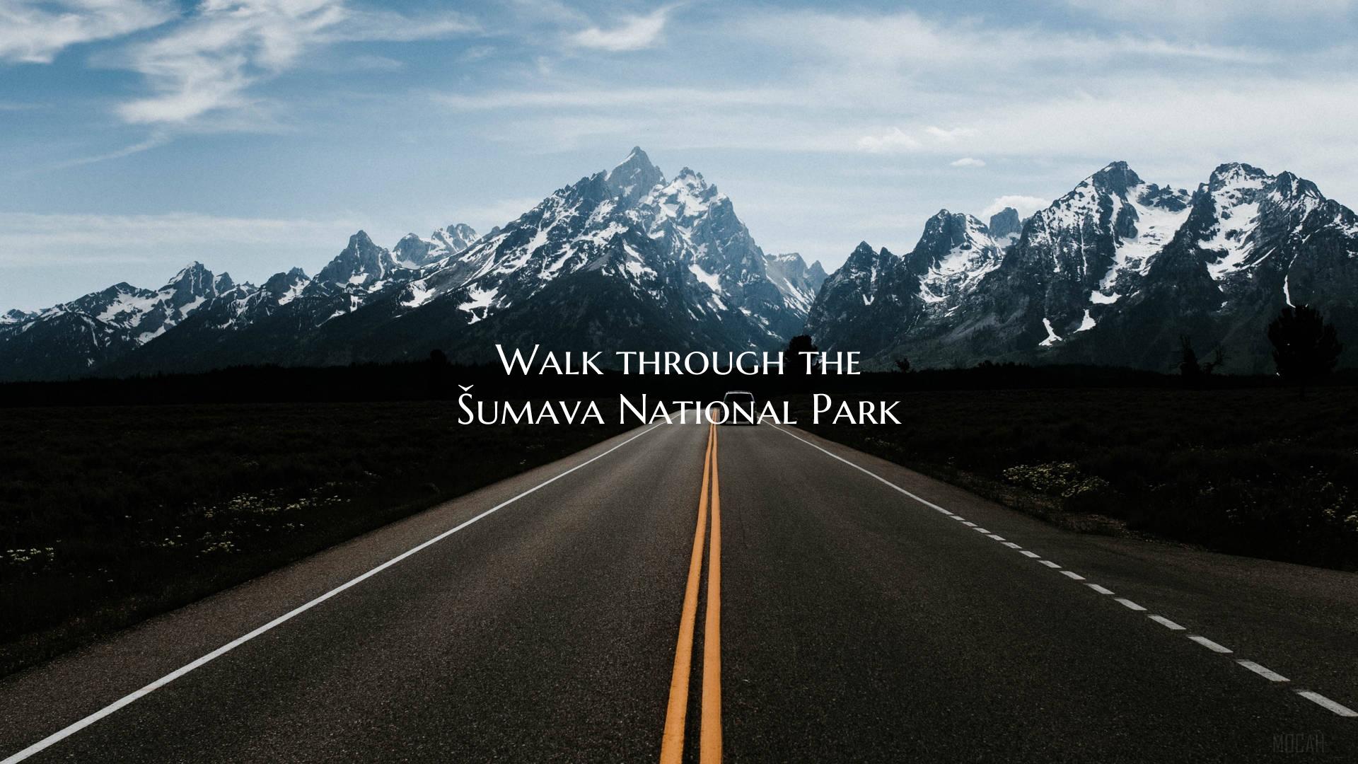 Walk through the Šumava National Park
